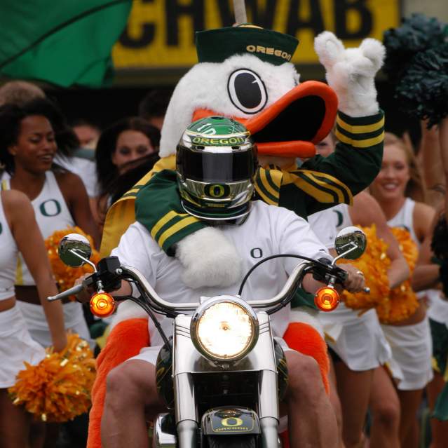 University of Oregon Mascot Duck by John Giustina