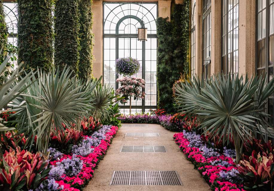 Winter Wonder Conservatory 2024