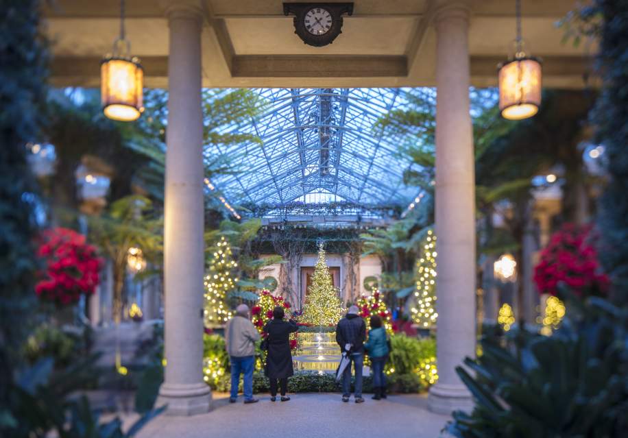 Visitors admire a beautifully decorated indoor garden with Christmas trees, festive lights, and lush greenery.