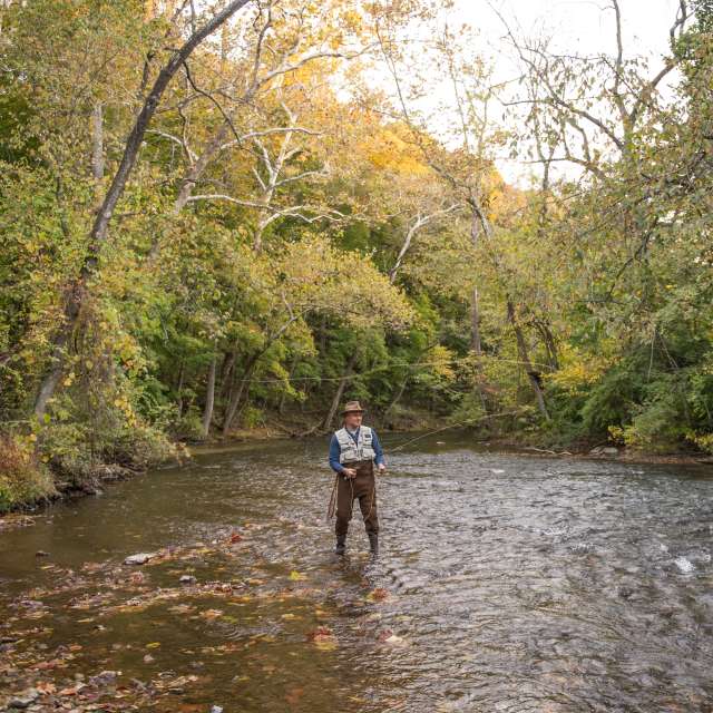 Yellow Breeches Creek