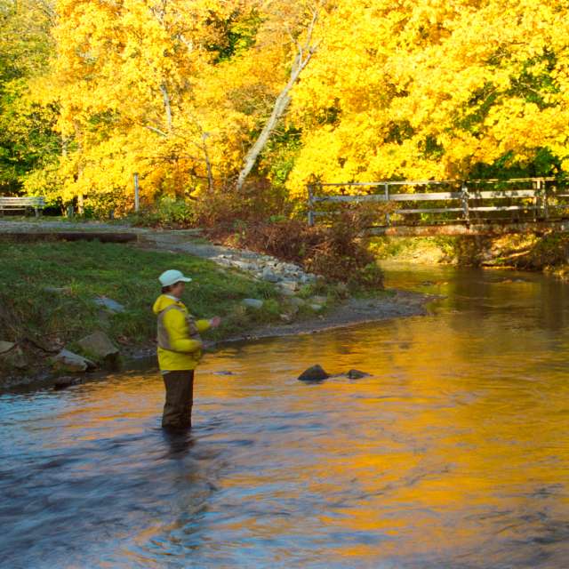 Fishing on Yellow Breeches Creek