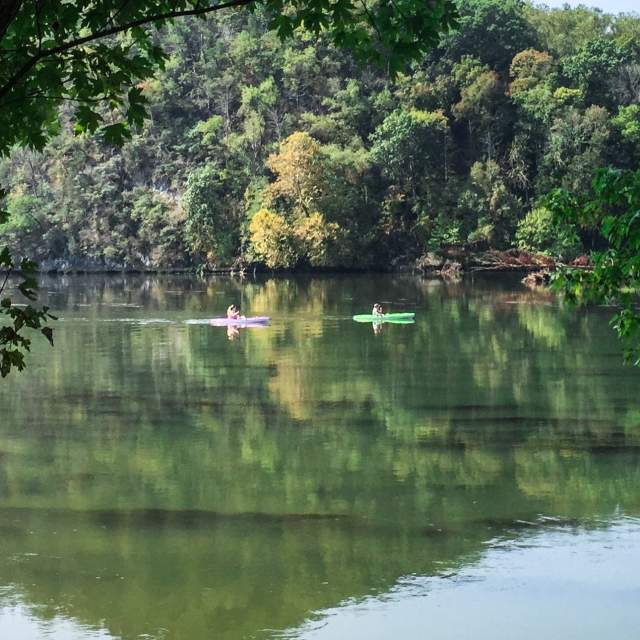 Kayakers enjoy the quiet calm of nature as the paddle along the Tennessee River