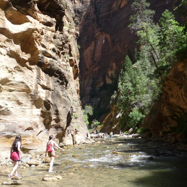 Zion narrows clearance guided hike