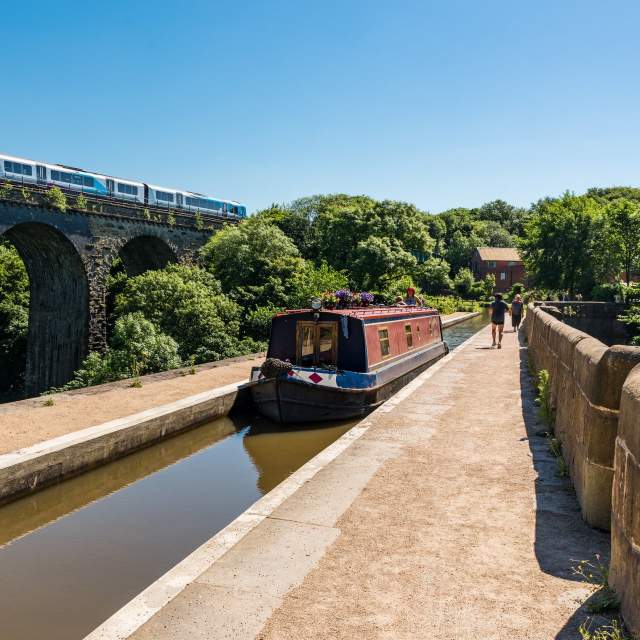 Marple
