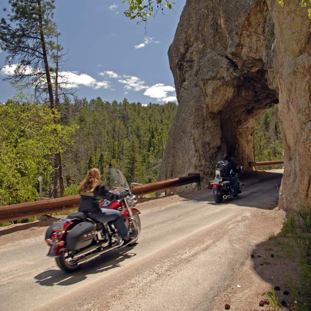 Needles Highway Motorcycling