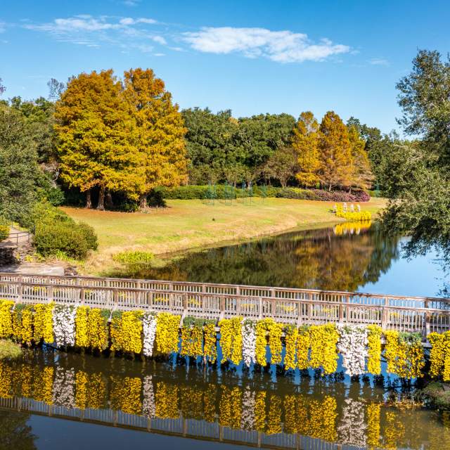 Bridge over a lake in the woods with hanging Mums