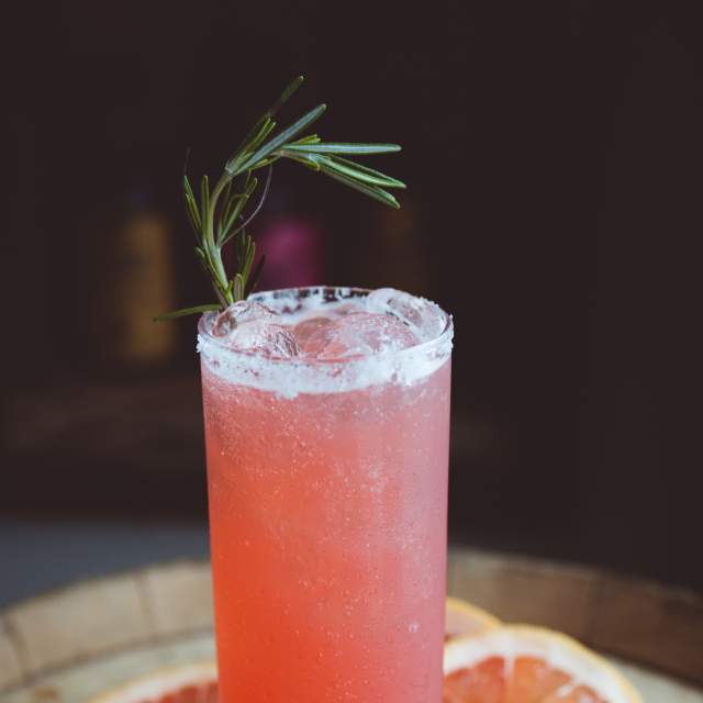 Rosemary the Greyhound Knox Whiskey Works