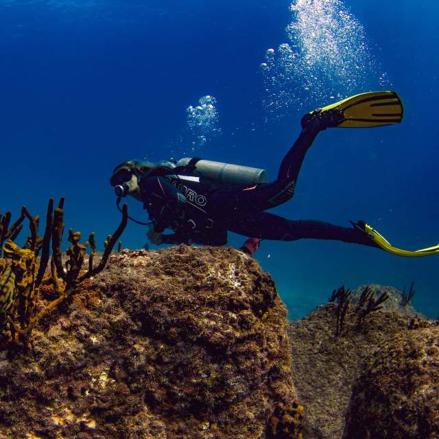 A person diving near beautiful corals in a blue and turquoise sea