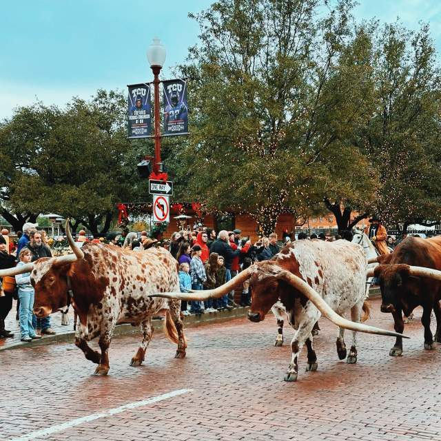 Fort Worth Stockyards - Cowboy Experience 