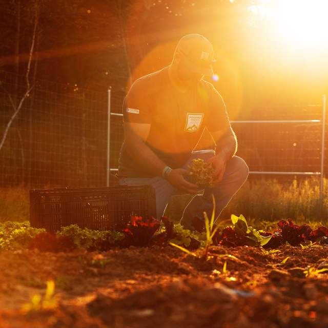 Organic Farming in the Poconos