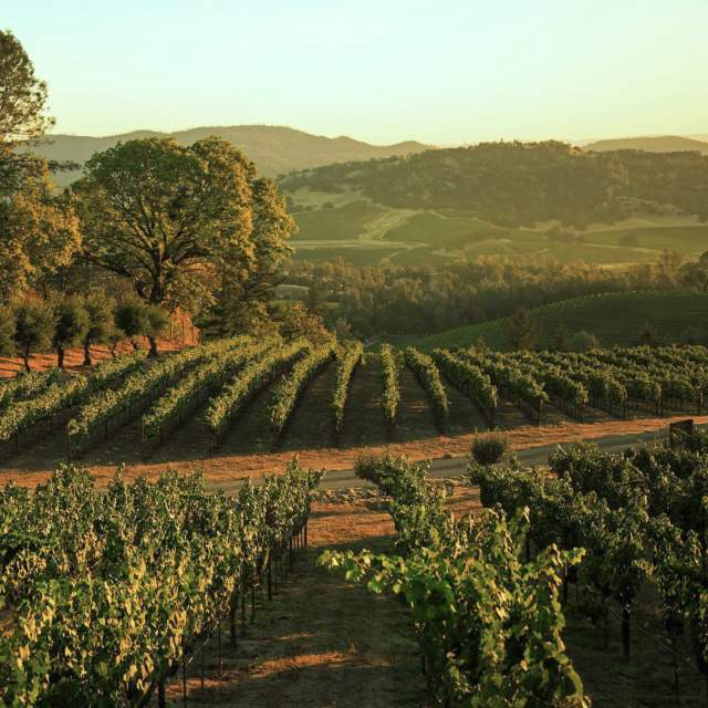 Angwin CA in Napa Valley Howell Mountain Wineries Hiking