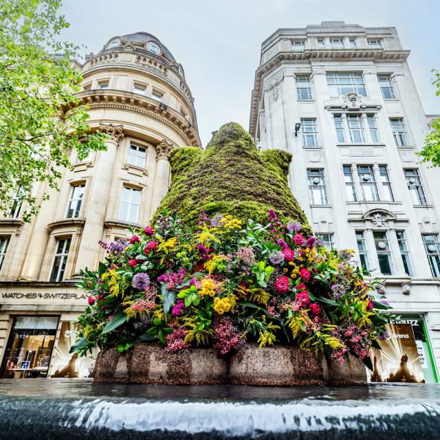 The Manchester Flower Festival Floral Trail: St Ann's Square