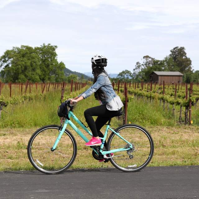 Biking the Napa Valley Vine Trail