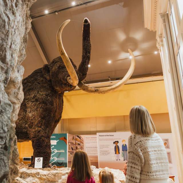 A group of children and an adult look at a large woolly mammoth model with long curved tusks in the Hull & East Riding Museum, surrounded by rocks and informational displays.