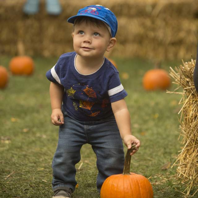 Blackberry Farm - Pumpkin Weekends
