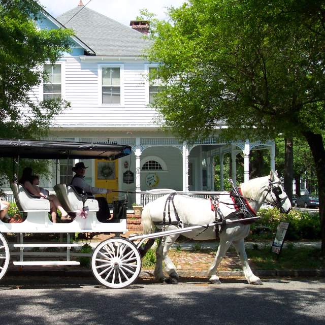 Travel Agency Wilmington Nc Tours by locals