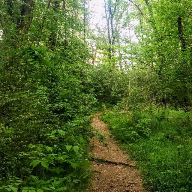 Urban Wilderness Trail