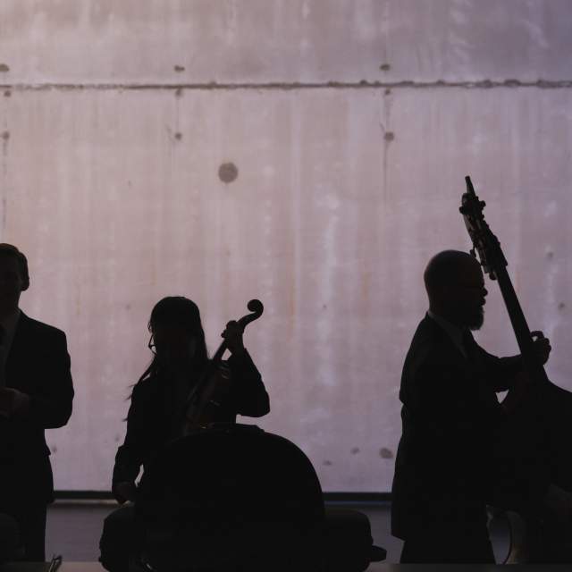 Springfield music sales