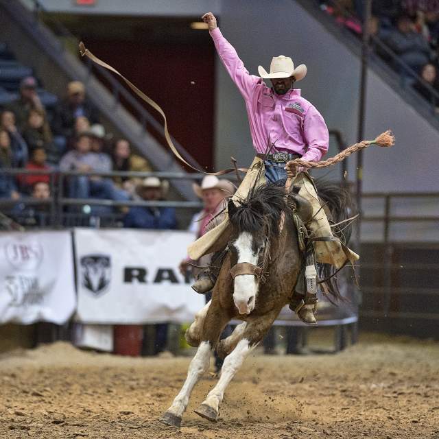 a cowboy in a bright pink shirt rides hard through an Amarillo rodeo arena, swinging his rope as his horse bucks and dirt flies beneath them