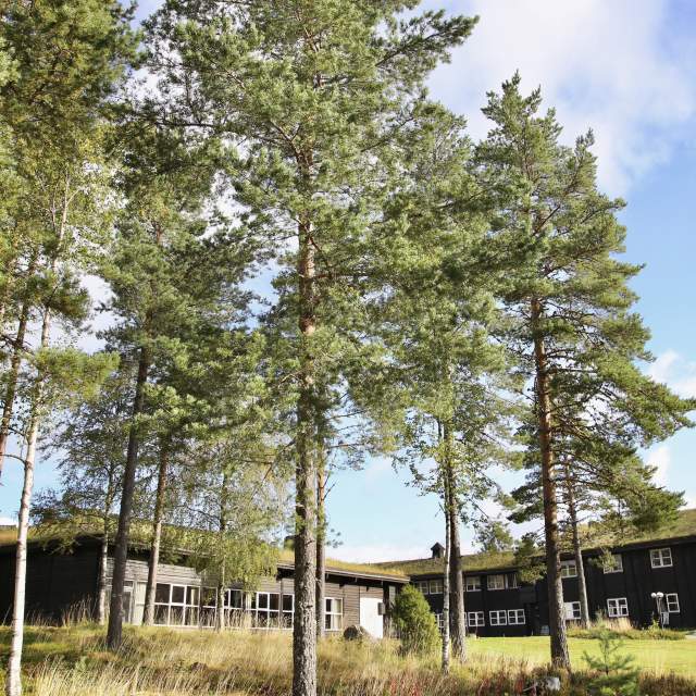Opplev Grenseland - Finnskogtoppen