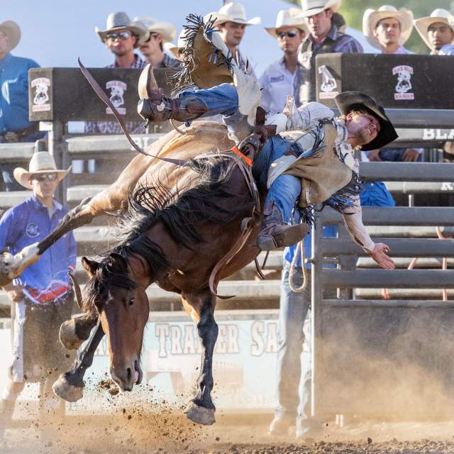 Black Hills Roundup Rodeo