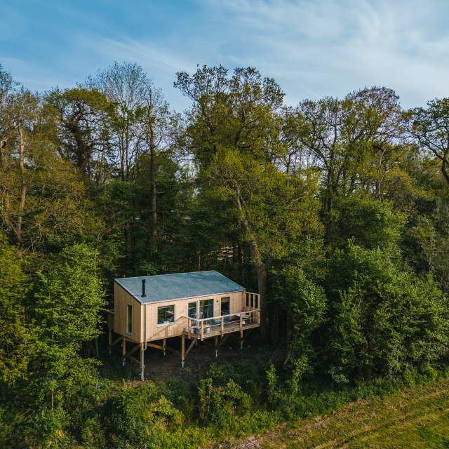 Elmore Court treehouse in a wood clearing