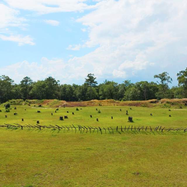 grassy field