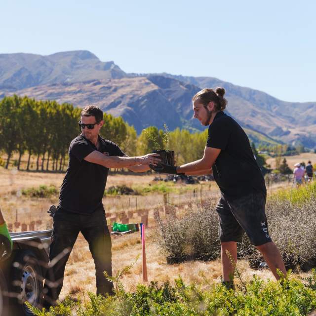 People helping at a volunteering planting day