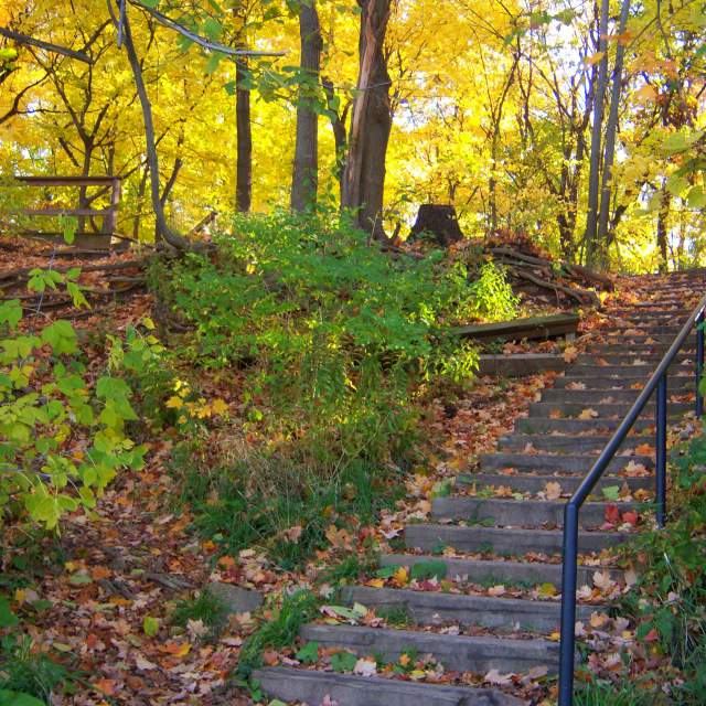 Red Oak Nature Trail Stairs