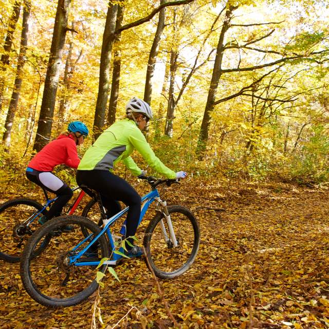 Fall Biking