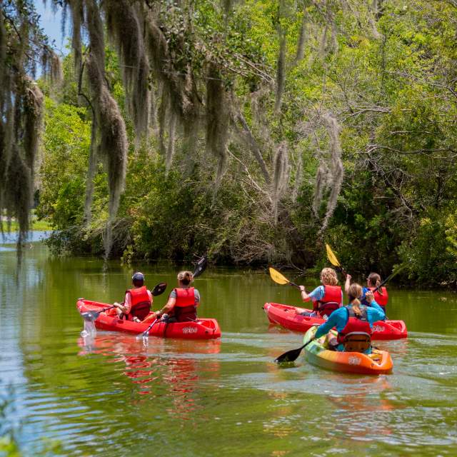 Paddling at James Island County Park