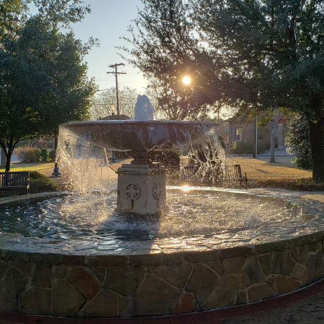 Sun shining through trees behind Mitchell Park fountain