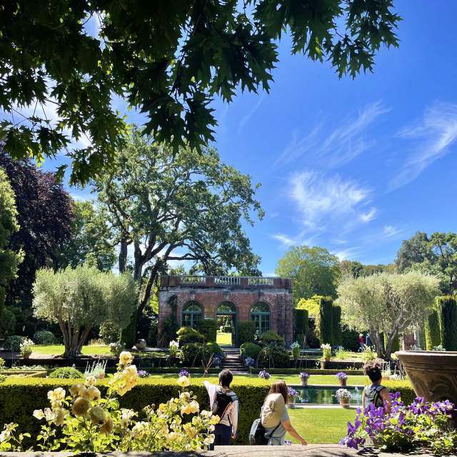 Summer morning at Filoli Historic House & Gardens