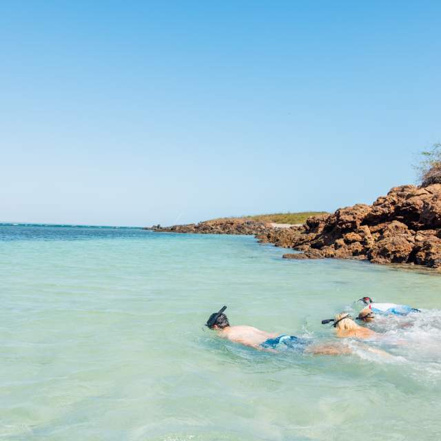 Group snorkeling on crystal waters of Iguana Island