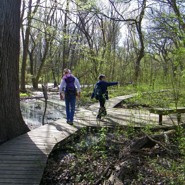 People walking on wooden walkway through Heard Museum wetlands