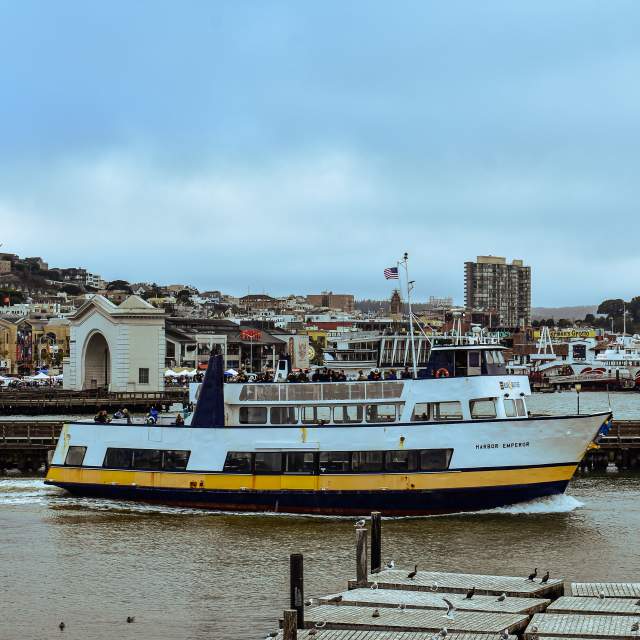 Blue and Gold Fleet at Pier 39