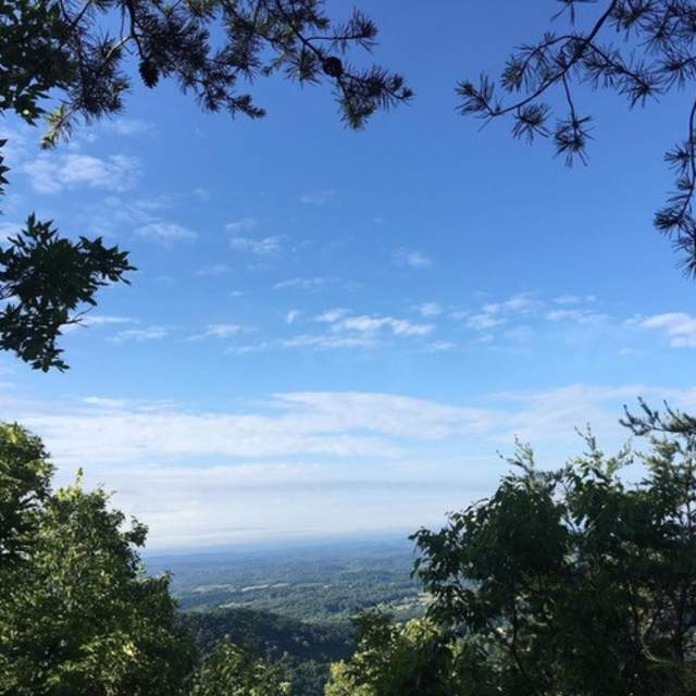 Knoxville Trails