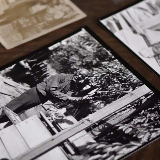 black and white photo of Cudjoe Lewis