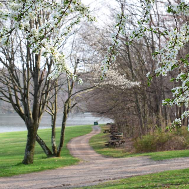 Check Out the Scenery at State Park