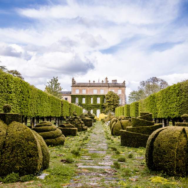 A mossy path flanked by hedges leads to Highgrove in the distance