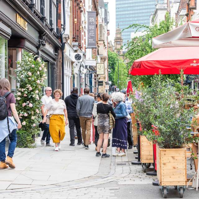 The Manchester Flower Festival