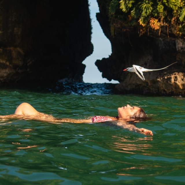 Woman swimming a bird flies very close to her. In the background you can see the vegetation of Isla Pajaro