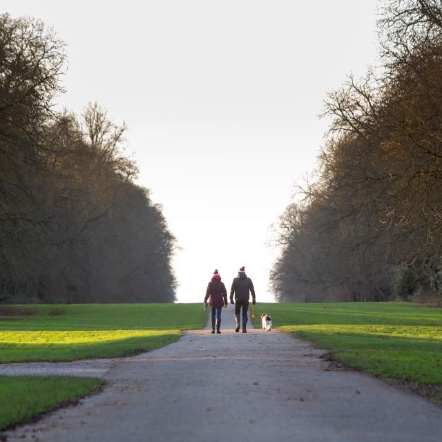 A couple wrapped up warmly and with bobble hats on walking with their dog in Cirencester Park