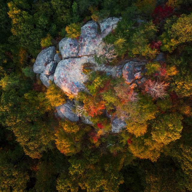 fall