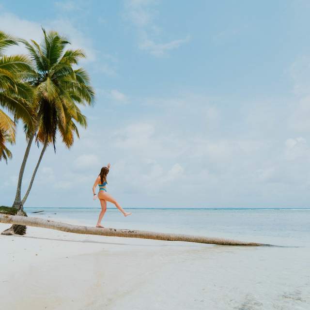 Playa de San Blas con palmera y paisaje natural en territorio Guna