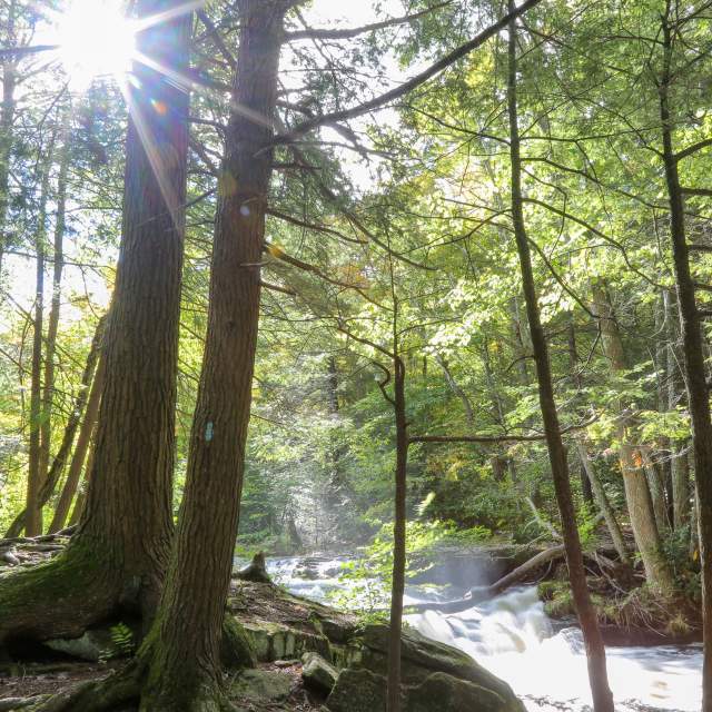 Experience a hiking adventure in the Pocono Mountains