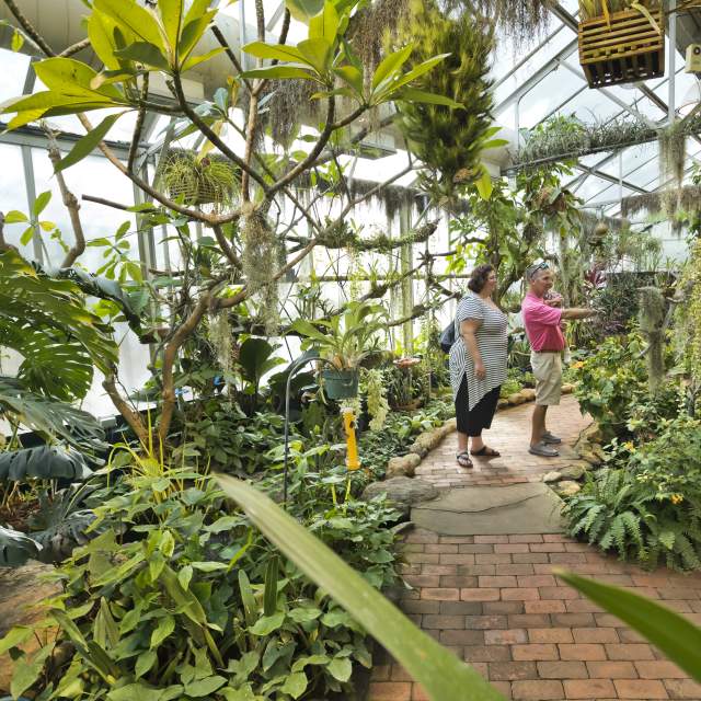 Woman and man holding a small child admire greenery in a large greenhouse filled with plants and trees