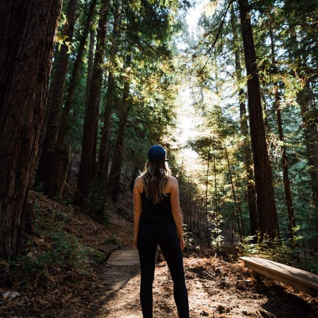 redwood-trails-canyon-ranch-woodside