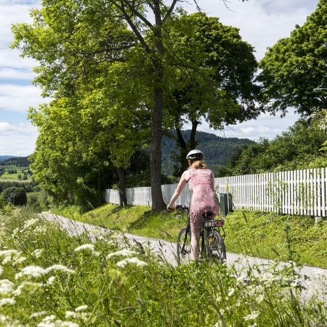 Cycle through beautiful nature near Sløvika in Hadeland