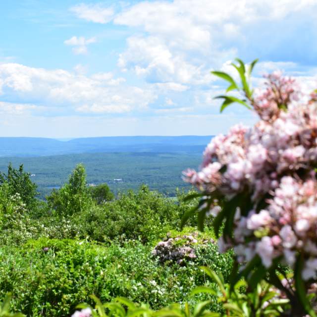 Pocono Mountains Views